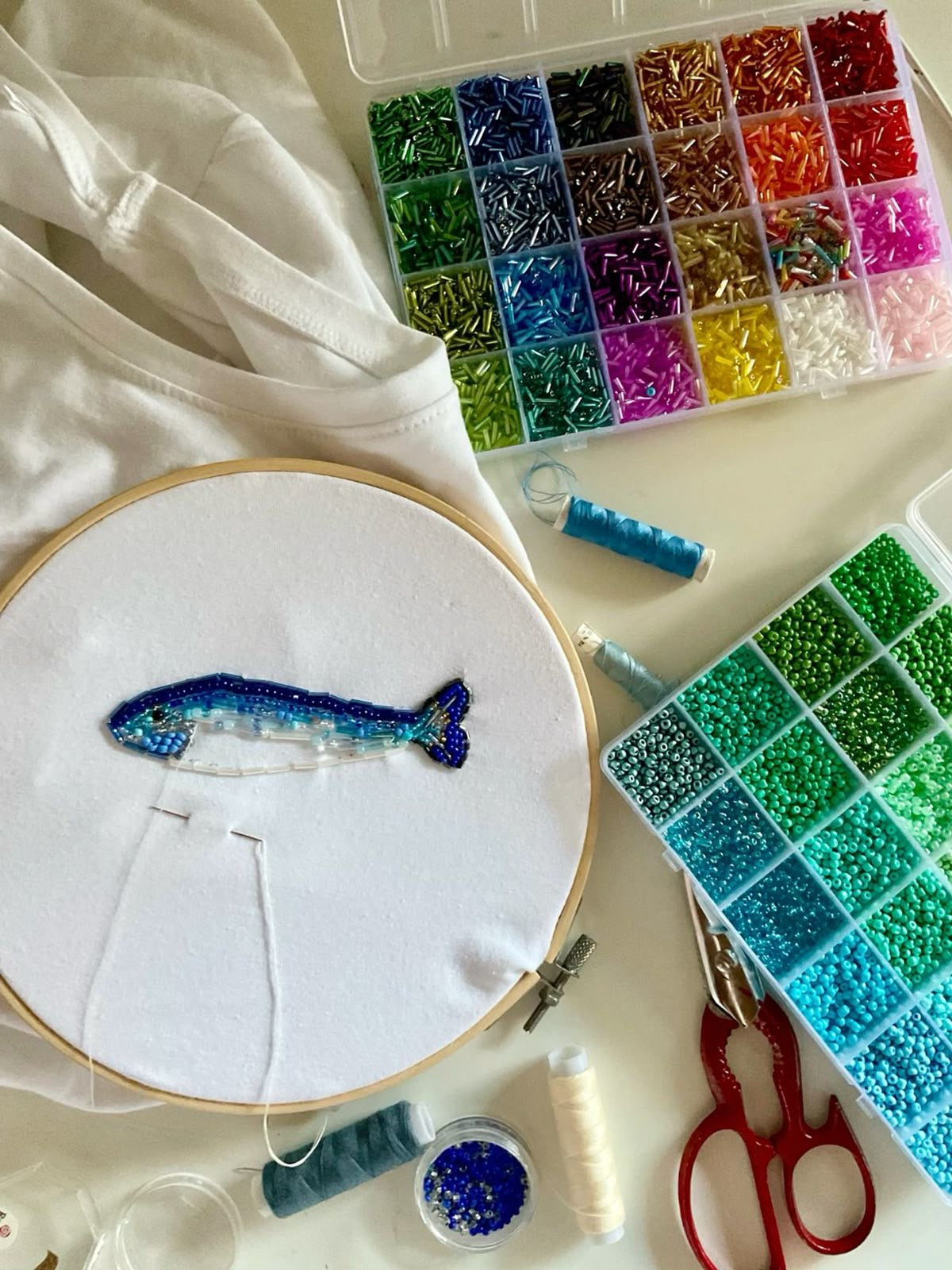 le poisson bleu